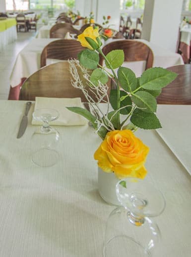 Hotel Matteo Pinarella